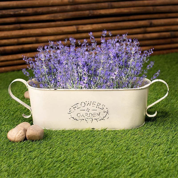 Buy Trophy Tub Planter Pots & Planters from Vaaree