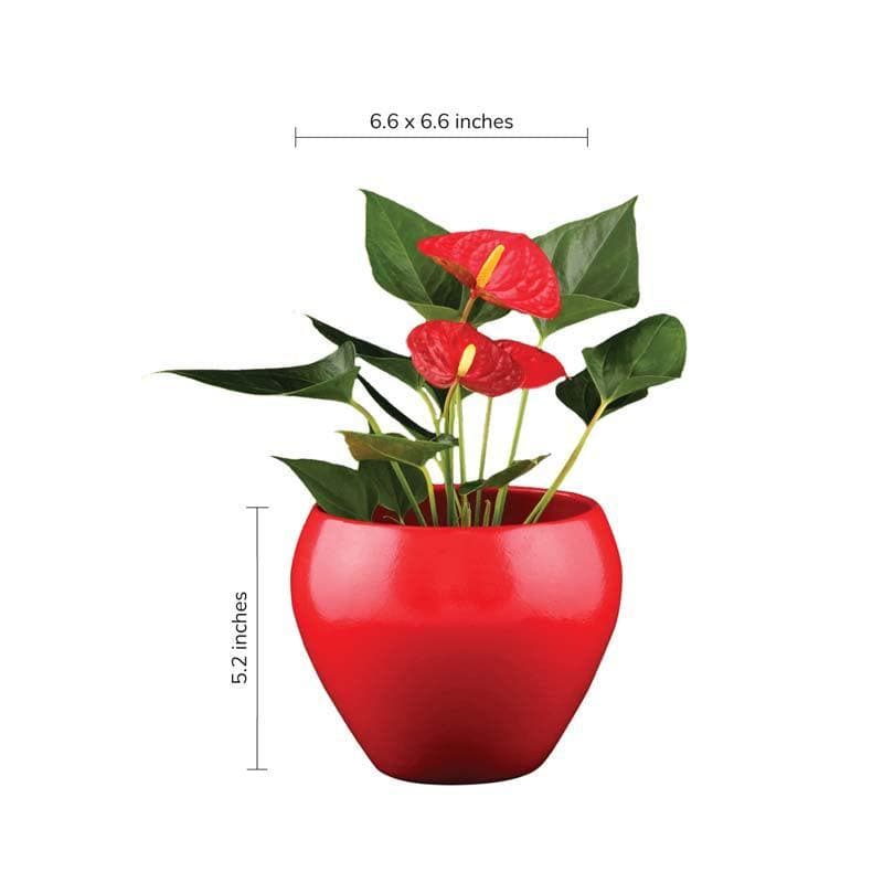 Buy Ugaoo Apple Red Ceramic Pot- Medium Pots & Planters from Vaaree