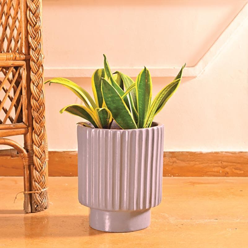 Buy Ugaoo Dark Affinity Gray Ceramic Pot-Medium Pots & Planters from Vaaree