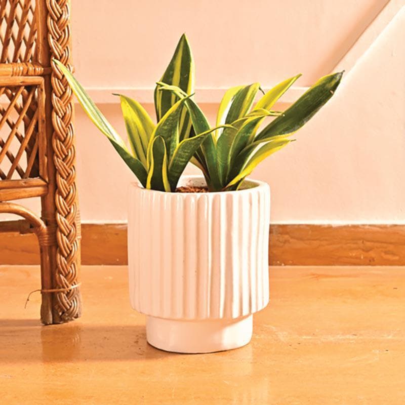 Buy Ugaoo Dark Affinity White Ceramic Pot-Medium Pots & Planters from Vaaree