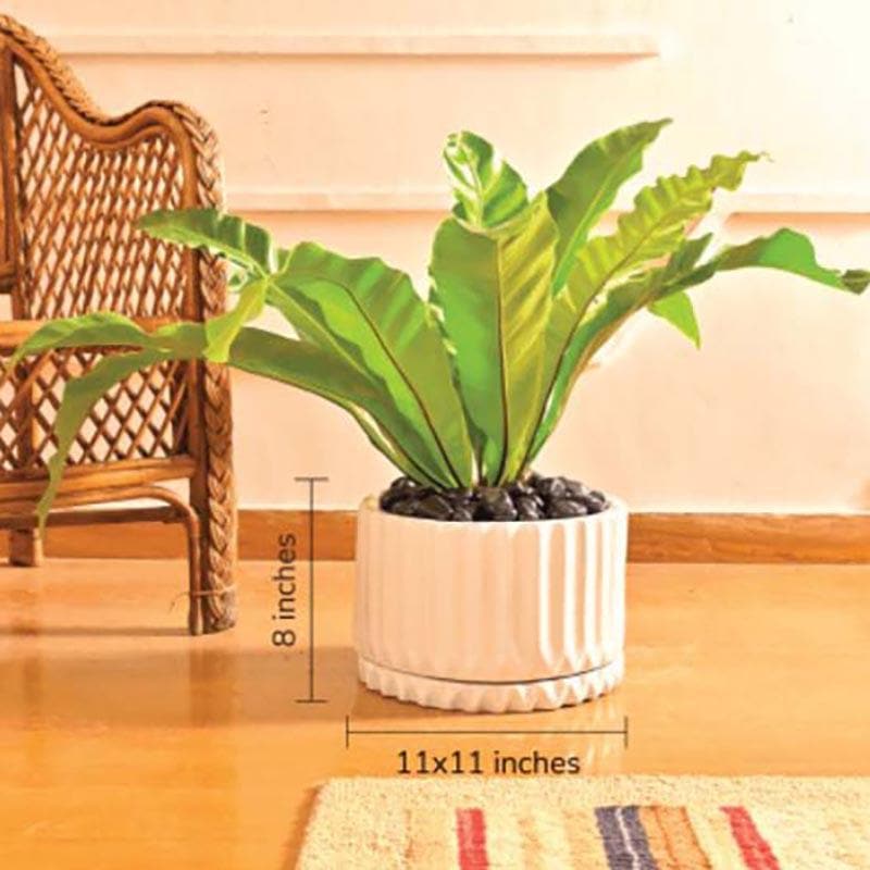 Buy Ugaoo Fleeting Bliss White Ceramic Pot Pots & Planters from Vaaree