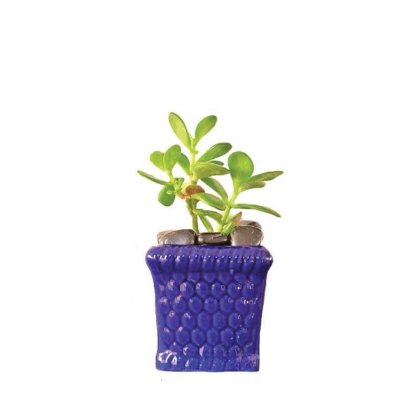 Buy Ugaoo Honeycomb Dark Blue Ceramic Pot Pots & Planters from Vaaree