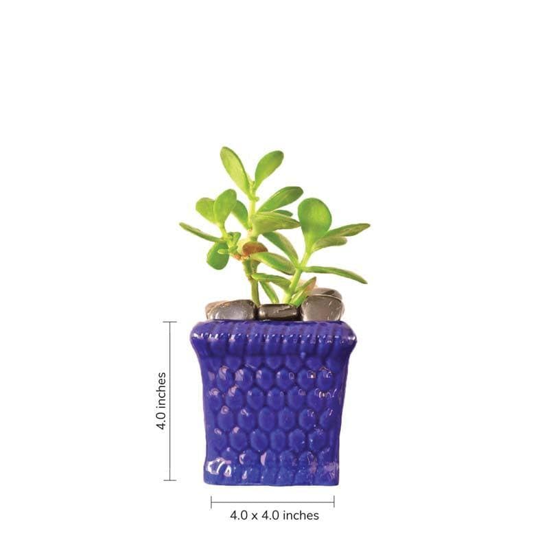 Buy Ugaoo Honeycomb Dark Blue Ceramic Pot Pots & Planters from Vaaree