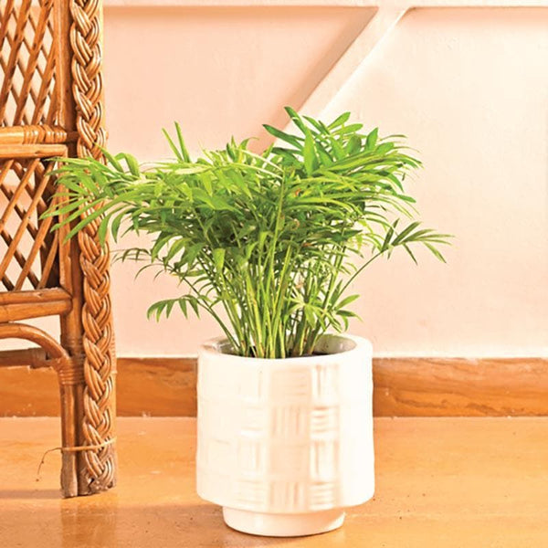 Buy Ugaoo Loved Flowers White Small Ceramic Pot Pots & Planters from Vaaree