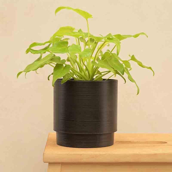 Buy UGAOO Oslo Planter for Home & Balcony Garden- Black Pots & Planters from Vaaree