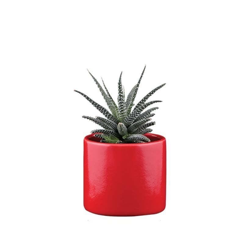 Buy Ugaoo Pipe Red Ceramic Pot Pots & Planters from Vaaree