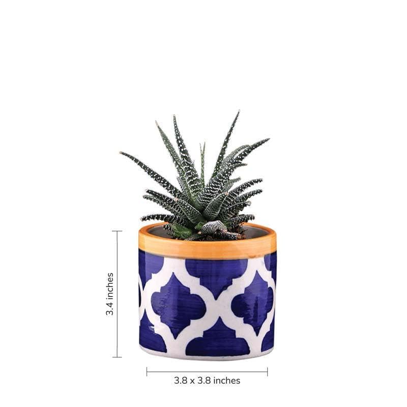 Buy Ugaoo Pipe Rose Blue Ceramic Pot Pots & Planters from Vaaree