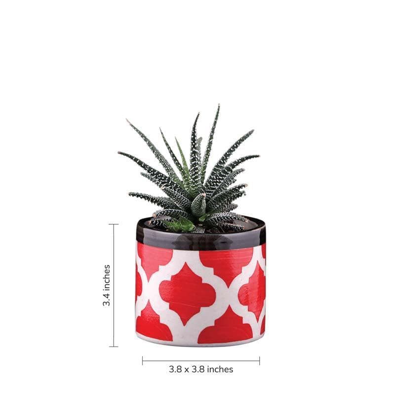 Buy Ugaoo Pipe Rose Red Ceramic Pot Pots & Planters from Vaaree