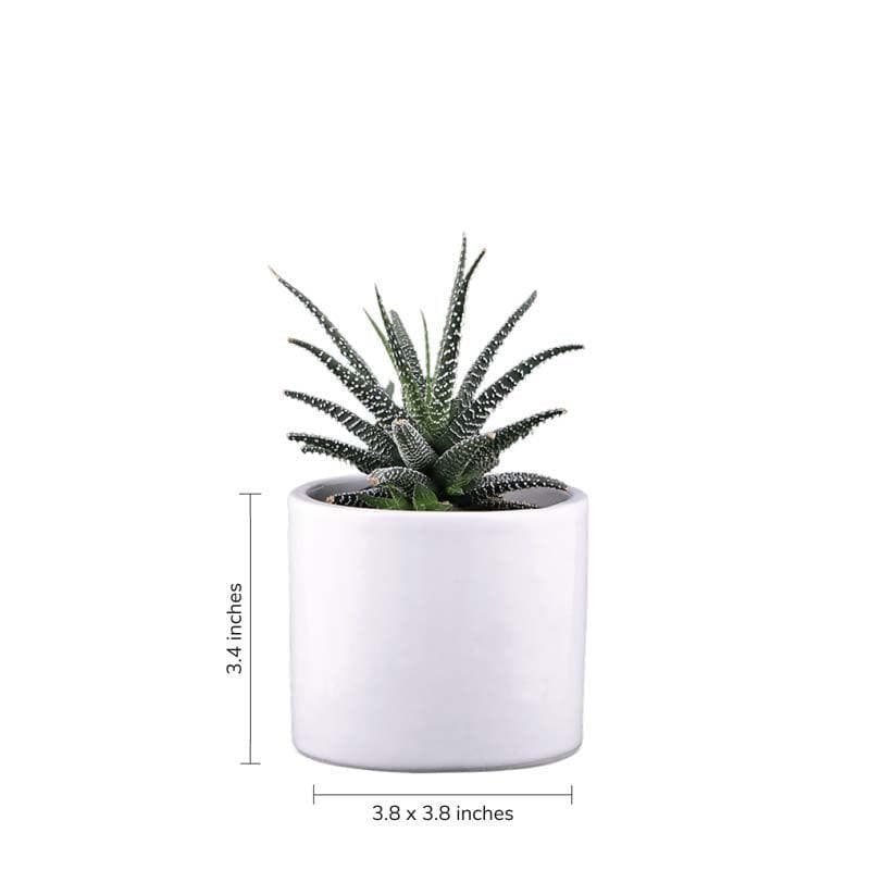 Buy Ugaoo Pipe White Ceramic Pot Pots & Planters from Vaaree