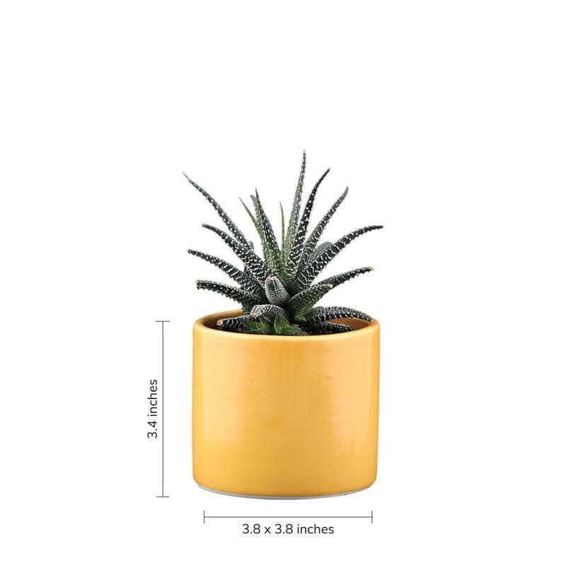 Buy Ugaoo Pipe Yellow Ceramic Pot Pots & Planters from Vaaree