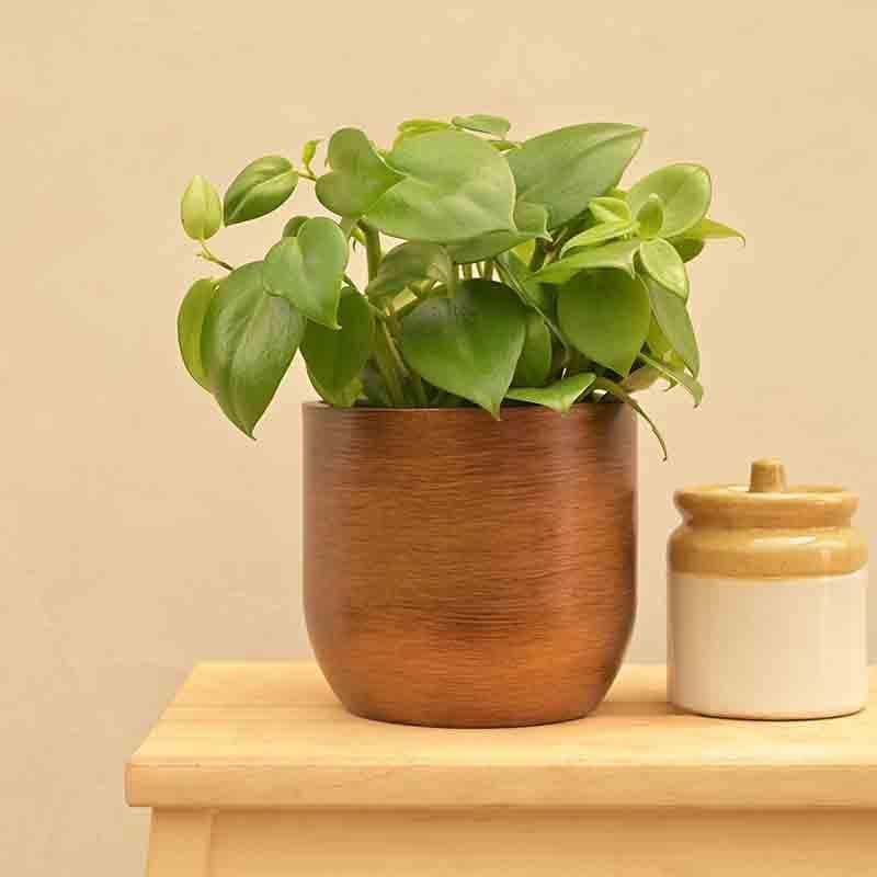 Buy UGAOO Planter Ball Retro- Gold Pots & Planters from Vaaree