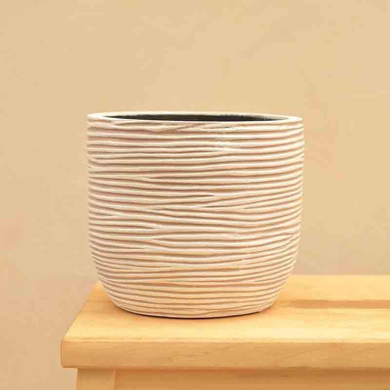 Buy UGAOO Planter Ball Rib - Ivory Pots & Planters from Vaaree