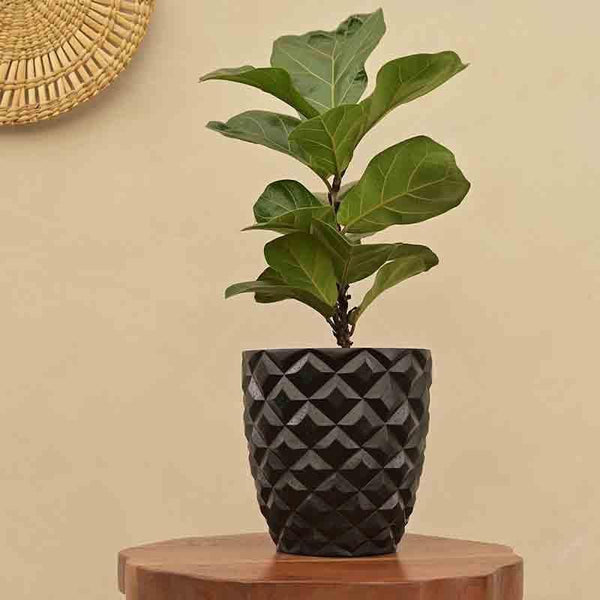 Buy UGAOO Planter Heraldry Vase Taper Round - Black Pots & Planters from Vaaree