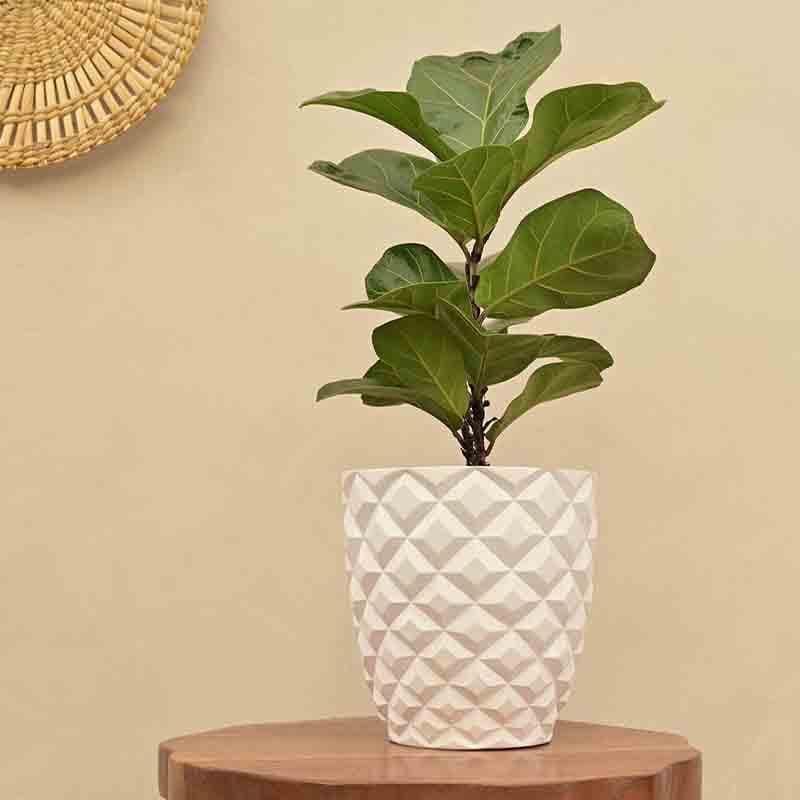 Buy UGAOO Planter Heraldry Vase Taper Round - White Pots & Planters from Vaaree