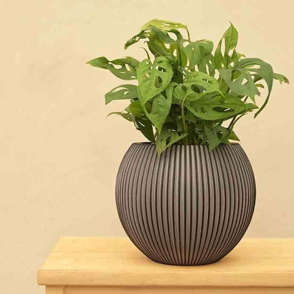 Buy UGAOO Planter Vase Ball Groove - Black Pots & Planters from Vaaree