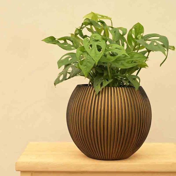 Buy UGAOO Planter Vase Ball Groove - Black & Gold Pots & Planters from Vaaree