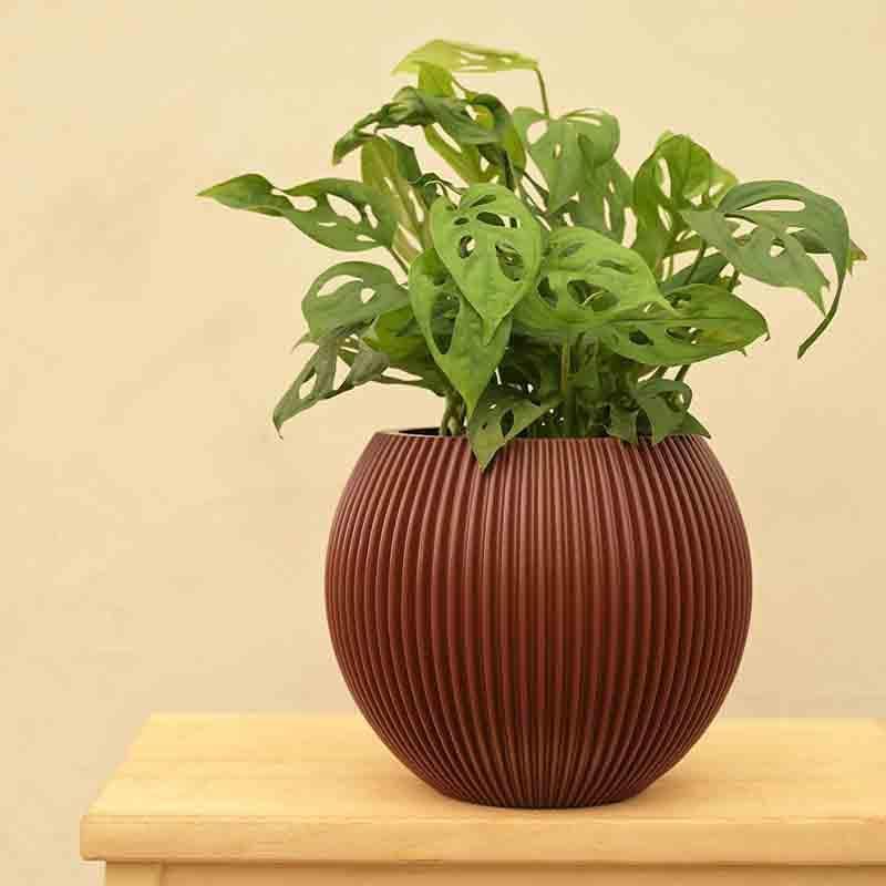 Buy UGAOO Planter Vase Ball Groove - Merlot Red Pots & Planters from Vaaree