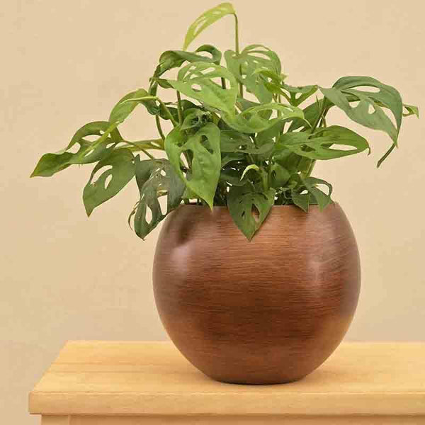 Buy UGAOO Planter Vase Ball Retro- Gold Pots & Planters from Vaaree