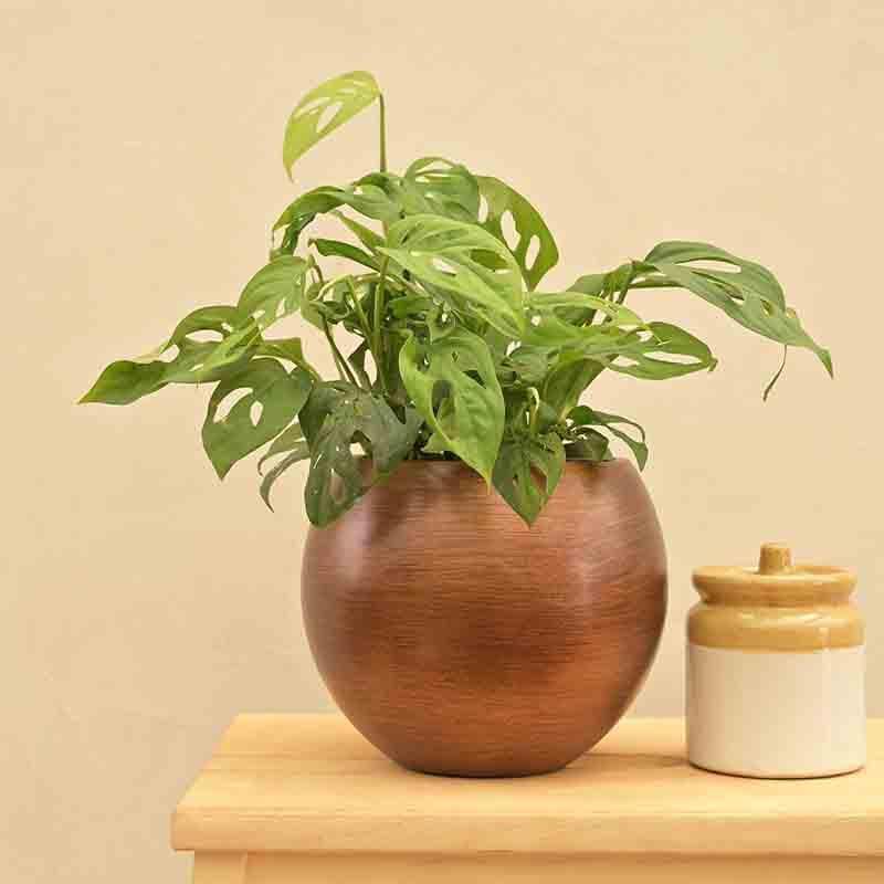 Buy UGAOO Planter Vase Ball Retro- Gold Pots & Planters from Vaaree