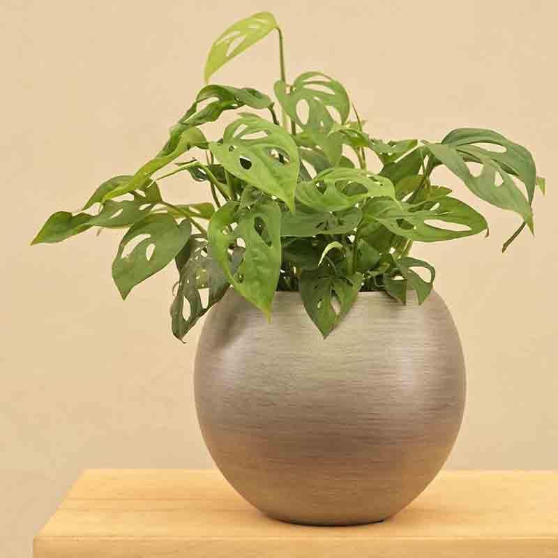 Buy UGAOO Planter Vase Ball Retro- Silver Pots & Planters from Vaaree