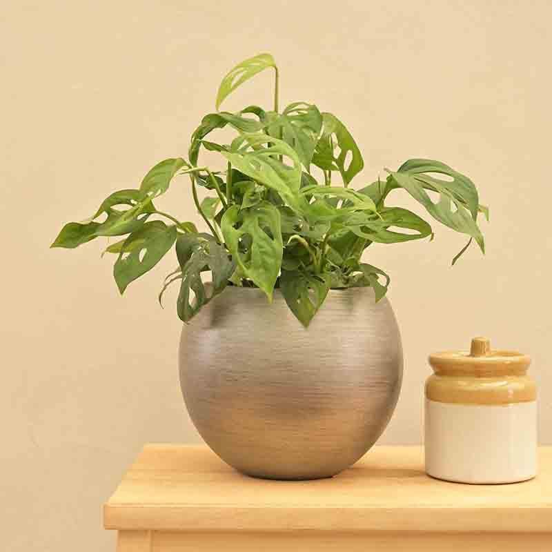 Buy UGAOO Planter Vase Ball Retro- Silver Pots & Planters from Vaaree