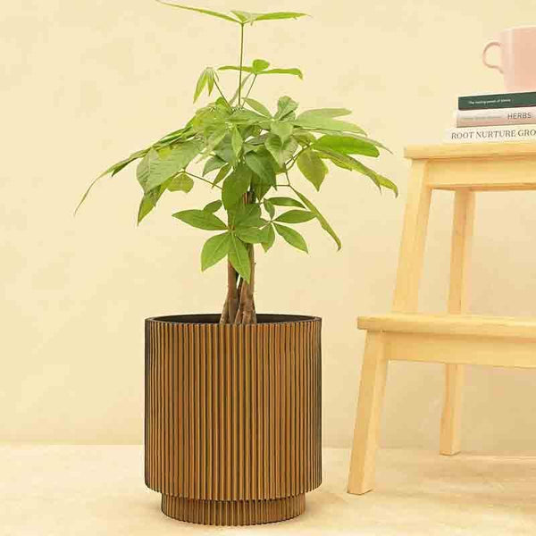 Buy UGAOO Planter Vase Cylinder Groove - Gold Pots & Planters from Vaaree