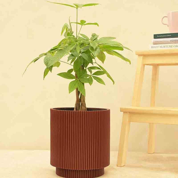 Buy UGAOO Planter Vase Cylinder Groove - Merlot Red Pots & Planters from Vaaree