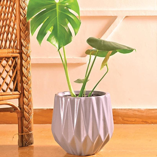 Buy Ugaoo Precious Horcrux Gray Ceramic Pot Pots & Planters from Vaaree