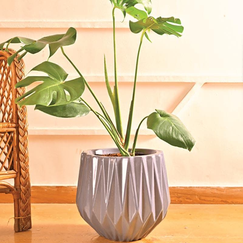 Buy Ugaoo Precious Horcrux Gray Ceramic Pot Pots & Planters from Vaaree