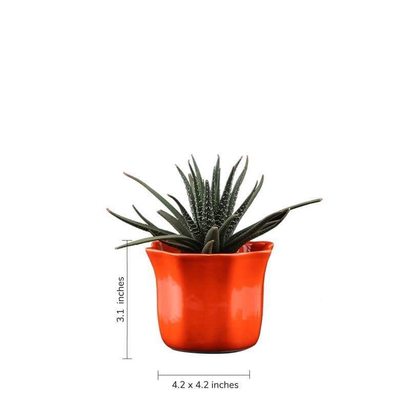 Buy Ugaoo Star Orange Ceramic Pot Pots & Planters from Vaaree