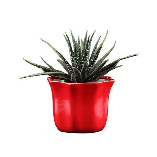 Buy Ugaoo Star Red Ceramic Pot Pots & Planters from Vaaree