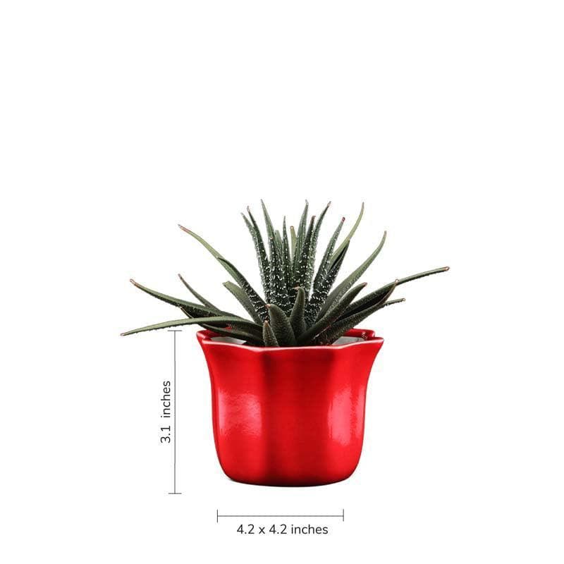 Buy Ugaoo Star Red Ceramic Pot Pots & Planters from Vaaree