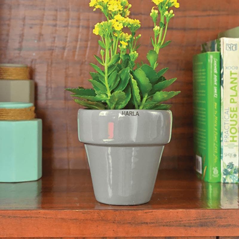 Buy Ugaoo The Dream Gray Small Ceramic Pot Pots & Planters from Vaaree