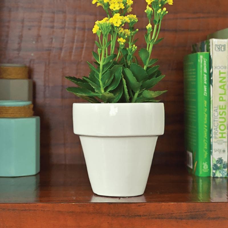 Buy Ugaoo The Dream White Small Ceramic Pot Pots & Planters from Vaaree