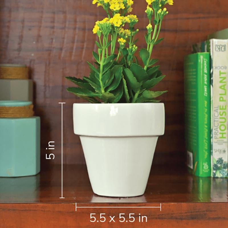 Buy Ugaoo The Dream White Small Ceramic Pot Pots & Planters from Vaaree