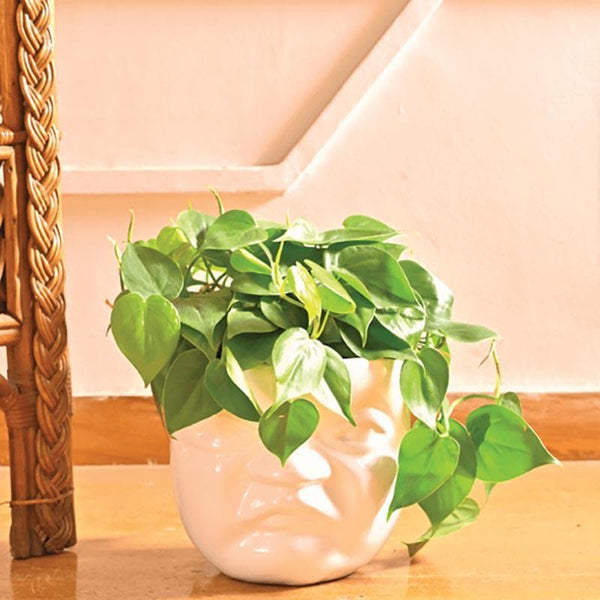 Buy Ugaoo Unwavered Love - Kids Angry Face Ceramic Pot Pots & Planters from Vaaree