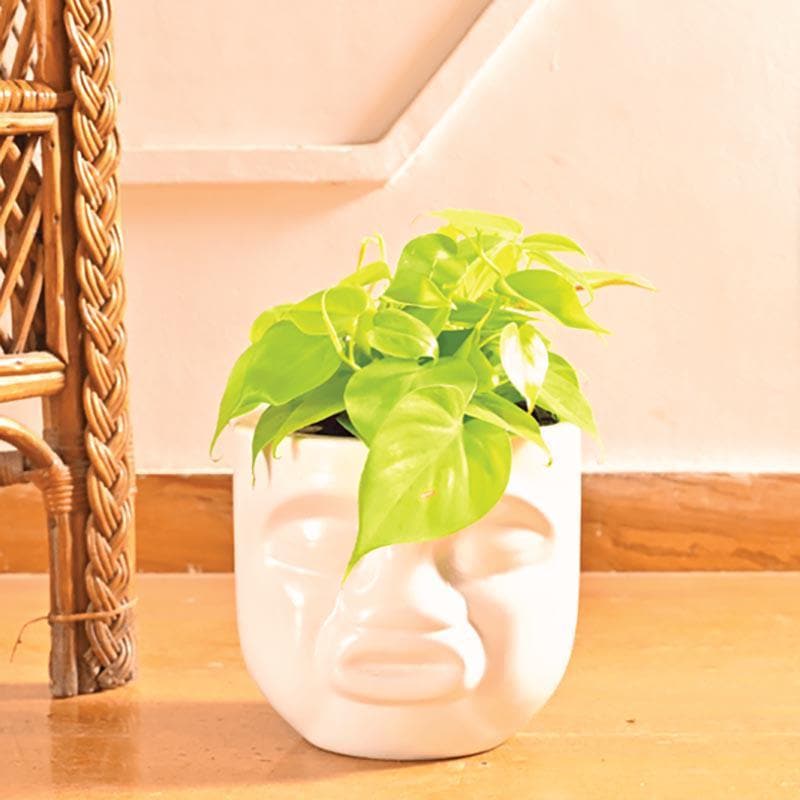 Buy Ugaoo Unwavered Love - Kids Pout Face Ceramic Pot Pots & Planters from Vaaree