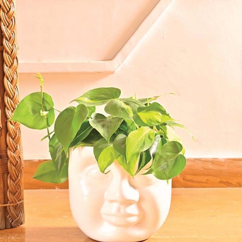 Buy Ugaoo Unwavered Love - Kids Pout Face Ceramic Pot Pots & Planters from Vaaree