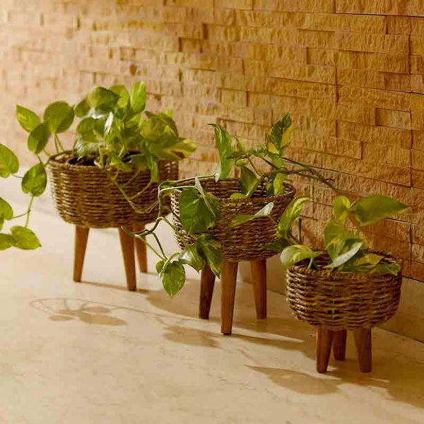 Buy Woven Tokri Planters - Set Of Three Pots & Planters from Vaaree