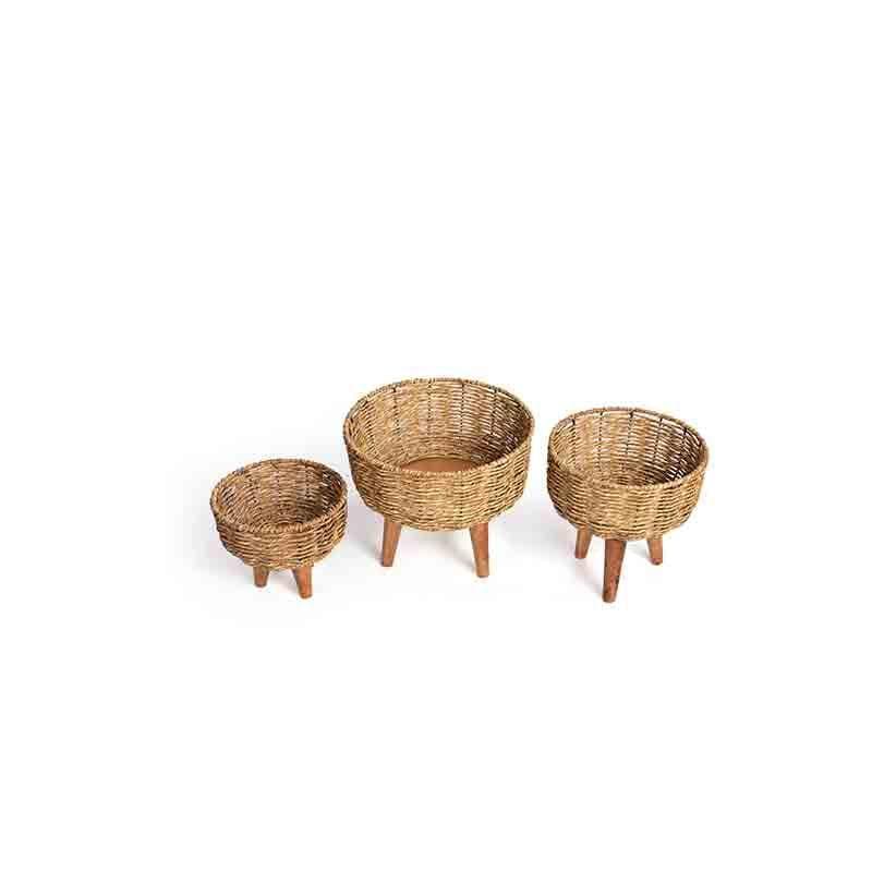 Buy Woven Tokri Planters - Set Of Three Pots & Planters from Vaaree