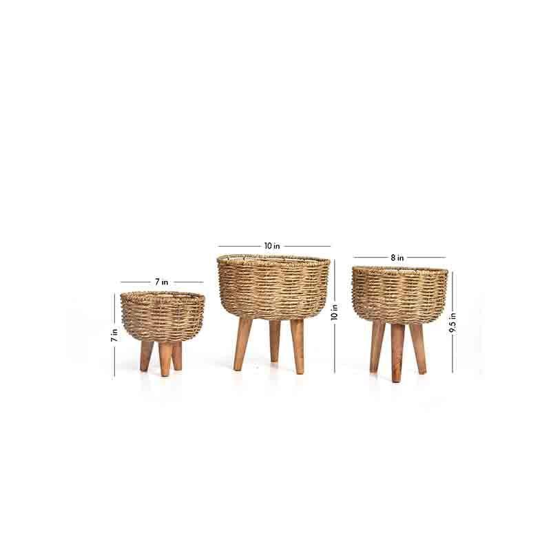 Buy Woven Tokri Planters - Set Of Three Pots & Planters from Vaaree