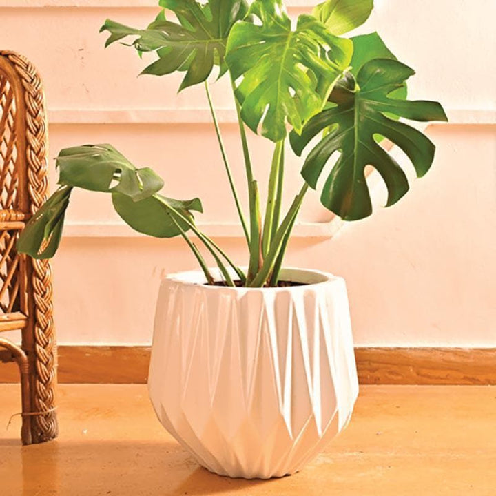 Buy Ugaoo Precious Horcrux White Ceramic Pot at Vaaree online | Beautiful Pots & Planters to choose from