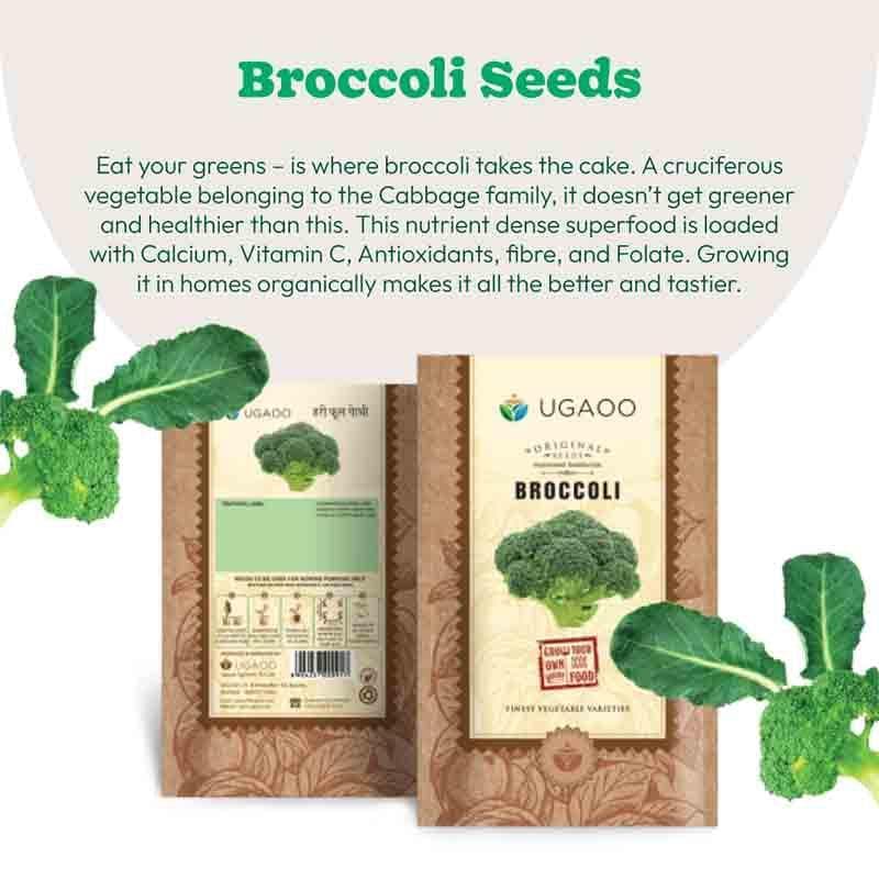 Buy Ugaoo Broccoli (100 Seeds) Seeds from Vaaree