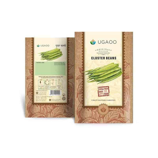 Buy Ugaoo Cluster Beans Seeds Seeds from Vaaree