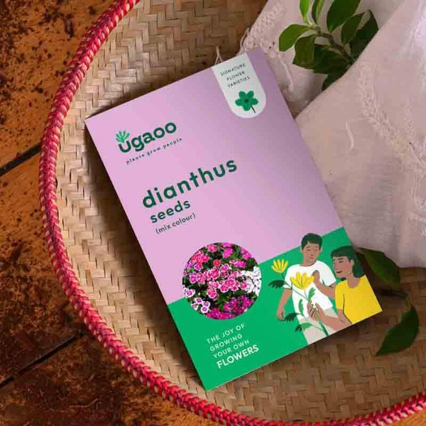 Buy Ugaoo Dianthus Mix Seeds Seeds from Vaaree