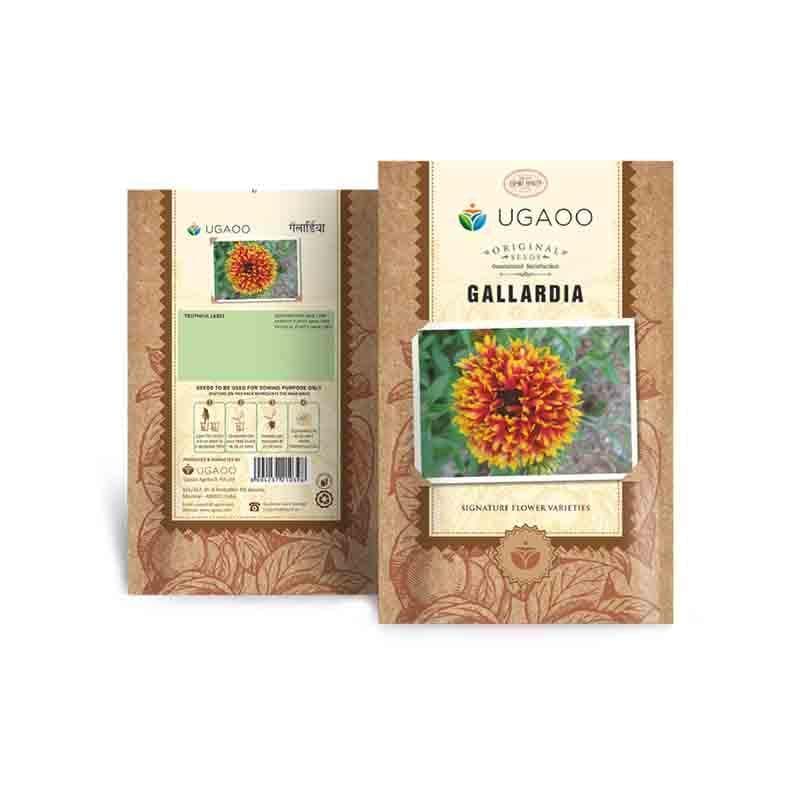 Buy Ugaoo Gallardia Seeds Seeds from Vaaree