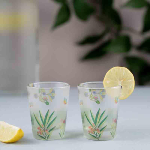 Shot Glass - Vibrant Bliss Frosted Shot Glass (30 ml ) - Set Of Two