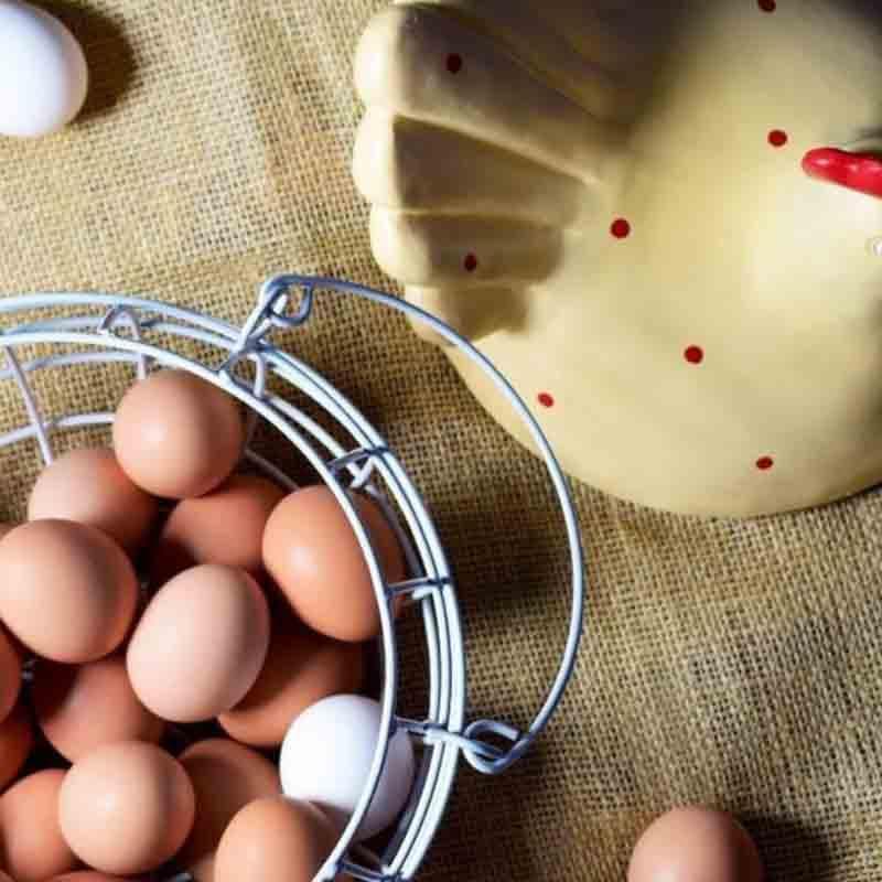 Storage Basket - Cluck Cluck Egg Basket