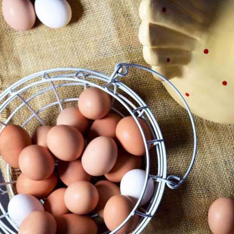 Storage Basket - Cluck Cluck Egg Basket