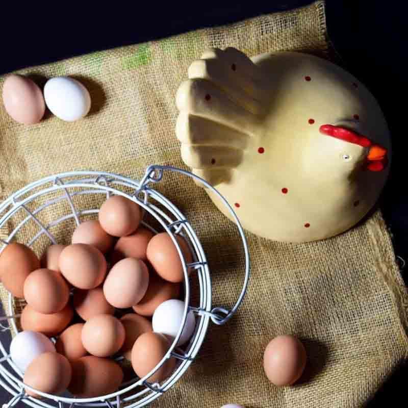 Storage Basket - Cluck Cluck Egg Basket